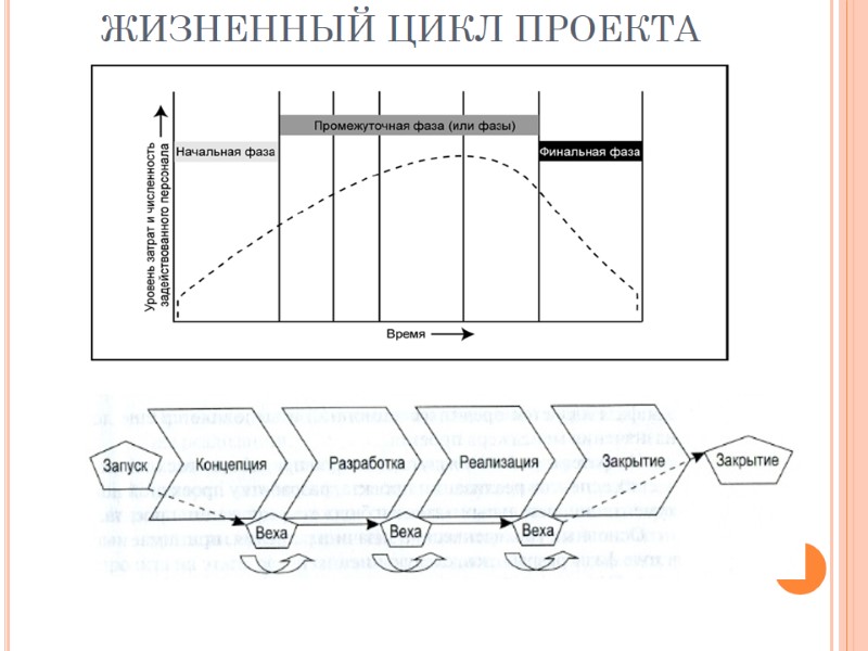 ЖИЗНЕННЫЙ ЦИКЛ ПРОЕКТА